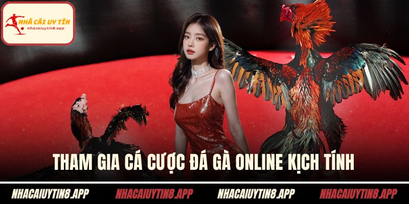 Tham gia cá cược đá gà online kịch tính