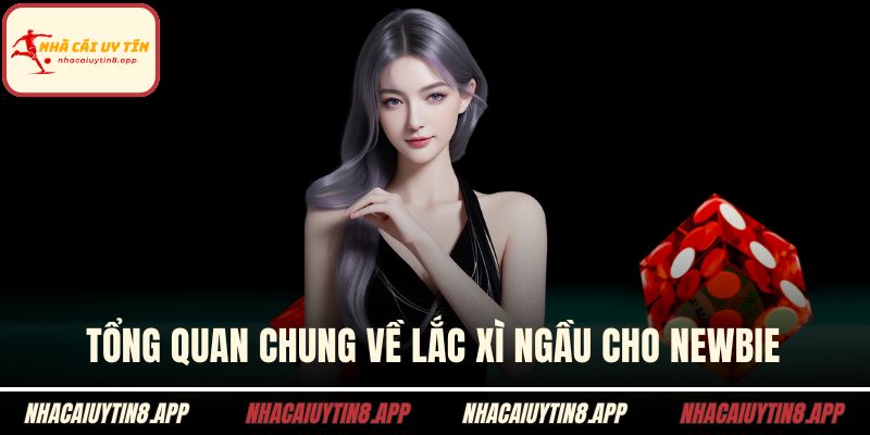 Tổng quan chung về lắc xì ngầu cho newbie